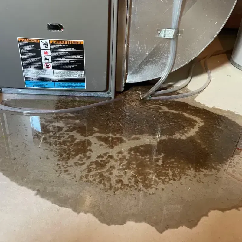 Appliance Leak Cleanup in Miami, OK